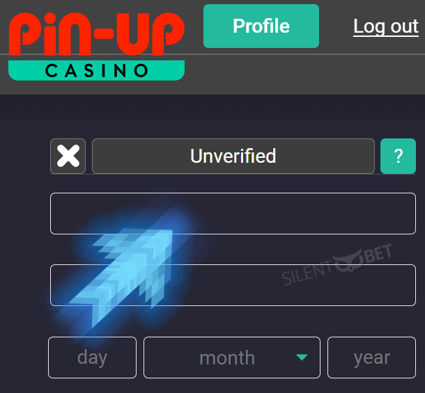 PinUp Verify Account